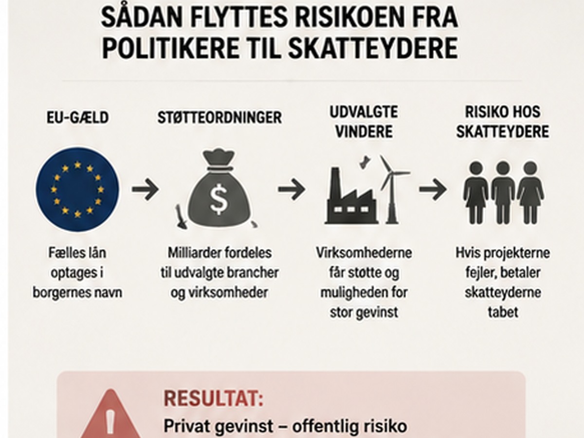 Infografik over EU-gæld, støtteordninger, udvalgte virksomheder og risiko hos skatteyderne